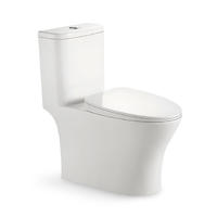YS24282 Keramisch toilet uit één stuk, met sifon;