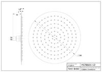 YS78601-12 SUS304 ultradunne 2 mm douchekop, regendouchekop;